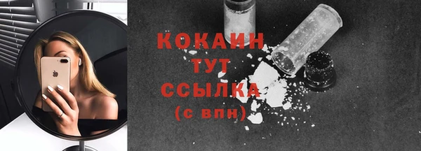 гашик Богородицк