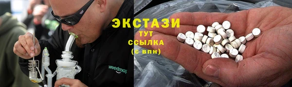 гашик Богородицк