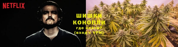 гашик Богородицк