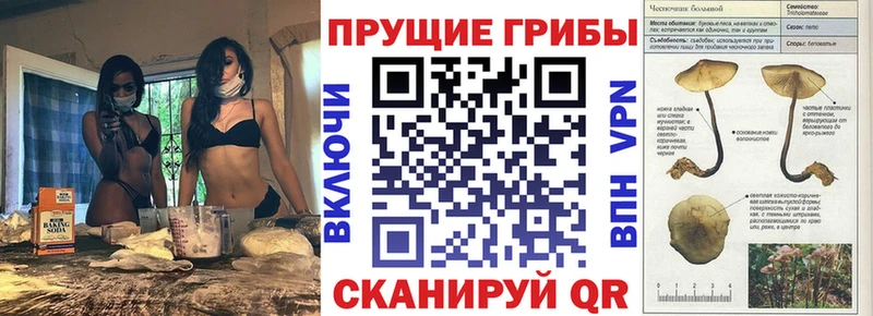 Купить где  Кушва  Галлюциногенные грибы Magic Shrooms 
